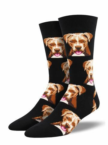 PIT BULL SOCKS