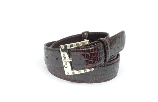 Brown Belt