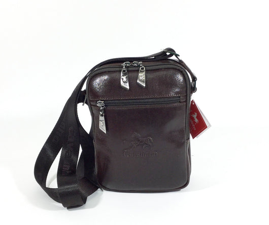 Brown Traveler