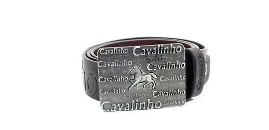 Men’s Brown Belt Branded